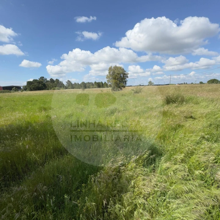 Terreno para Venda em Poceirão e Marateca Foto 43