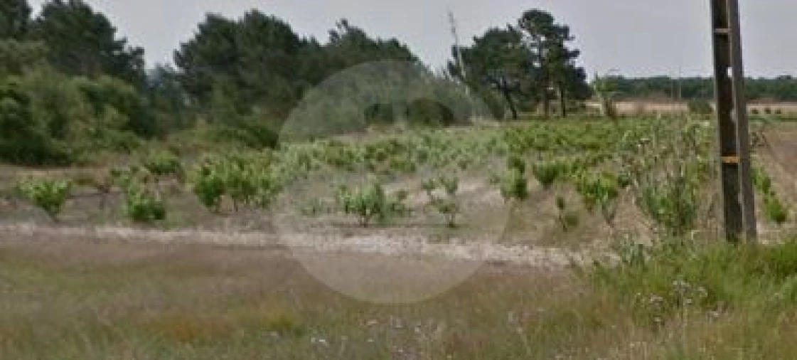 Terreno para Venda em Poceirão e Marateca Foto 6