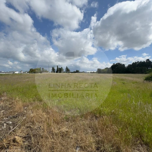 Terreno para Venda em Poceirão e Marateca