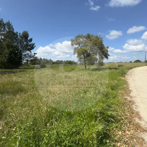Terreno para Venda em Poceirão e Marateca Foto 2
