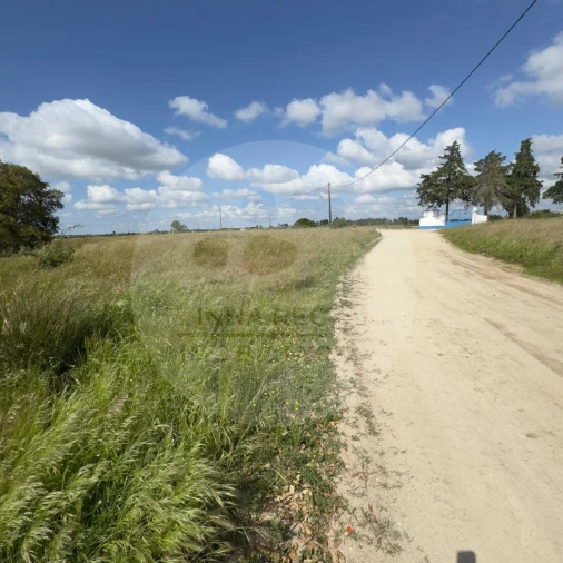 Terreno para Venda em Poceirão e Marateca Foto 3