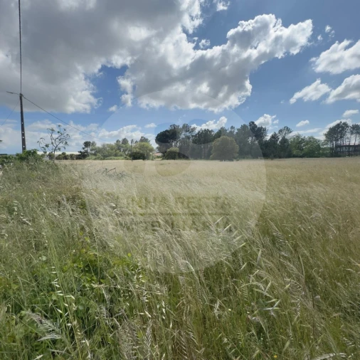 Terreno para Venda em Poceirão e Marateca Foto 14