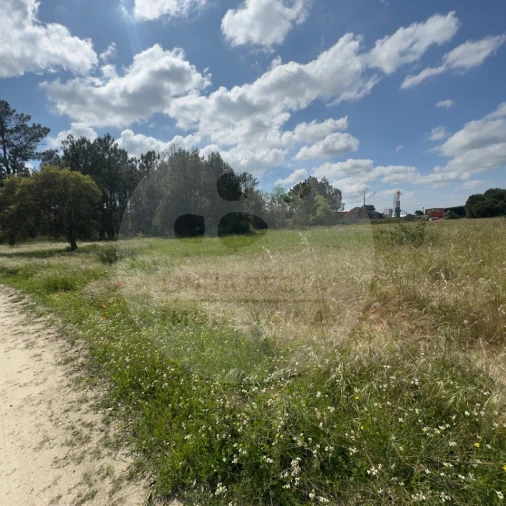Terreno para Venda em Poceirão e Marateca Foto 16
