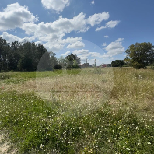 Terreno para Venda em Poceirão e Marateca Foto 17
