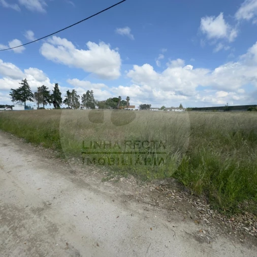 Terreno para Venda em Poceirão e Marateca Foto 21