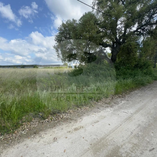Terreno para Venda em Poceirão e Marateca Foto 22