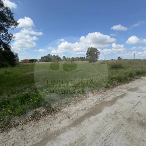 Terreno para Venda em Poceirão e Marateca Foto 24