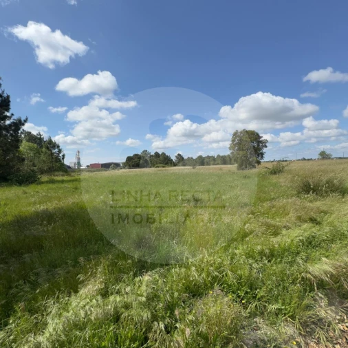 Terreno para Venda em Poceirão e Marateca Foto 26
