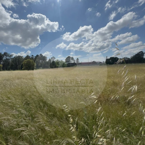 Terreno para Venda em Poceirão e Marateca Foto 31