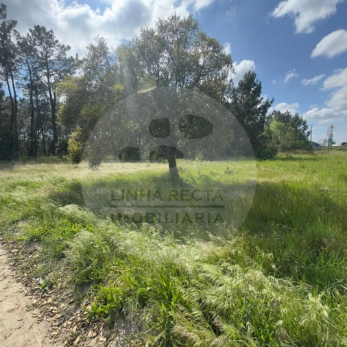 Terreno para Venda em Poceirão e Marateca Foto 37