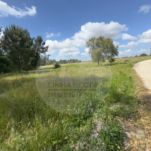 Terreno para Venda em Poceirão e Marateca Foto 39