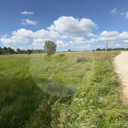 Terreno para Venda em Poceirão e Marateca Foto 41