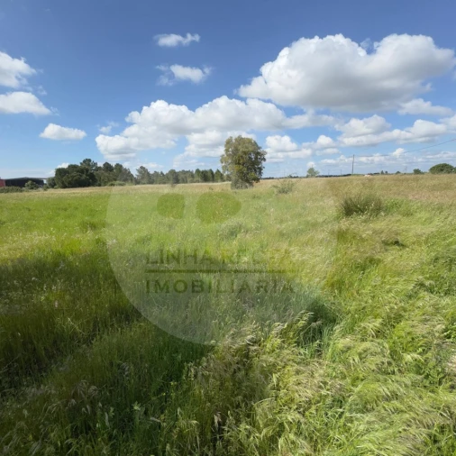 Terreno para Venda em Poceirão e Marateca Foto 43
