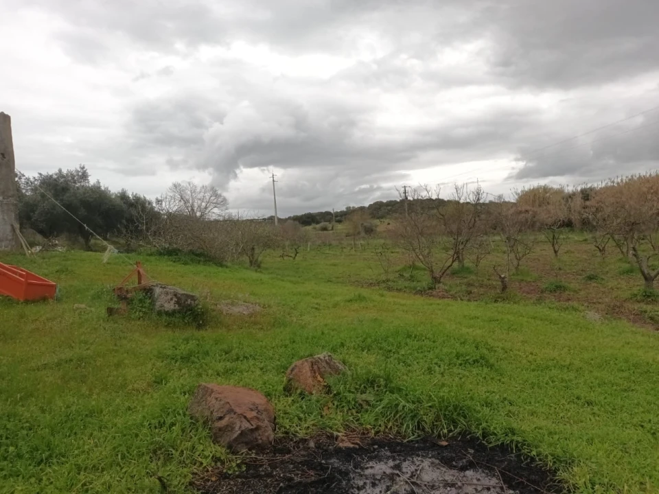 Terreno para Venda em Barbacena e Vila Fernando Foto 2