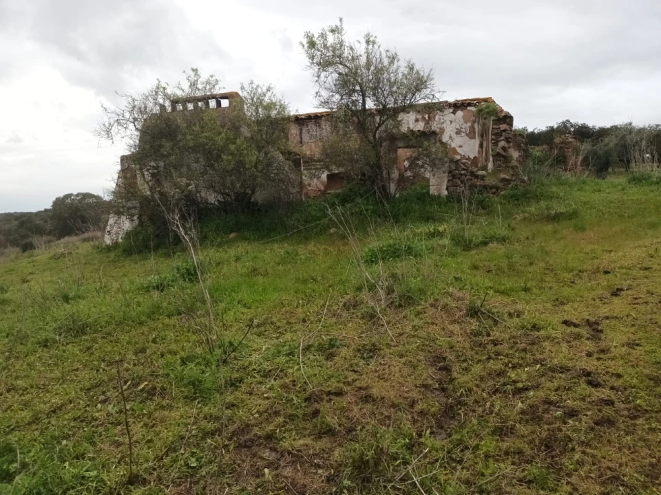 Terreno para Venda em Barbacena e Vila Fernando Foto 13