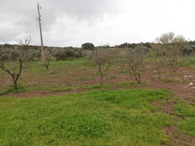 Terreno para Venda em Barbacena e Vila Fernando Foto 4