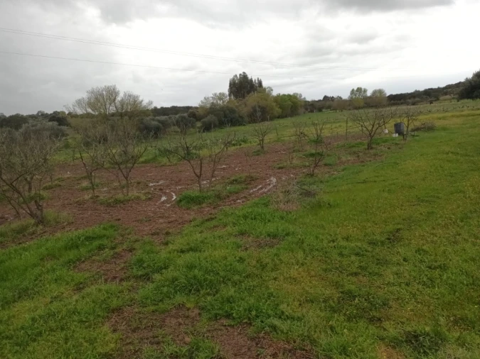 Terreno para Venda em Barbacena e Vila Fernando Foto 6