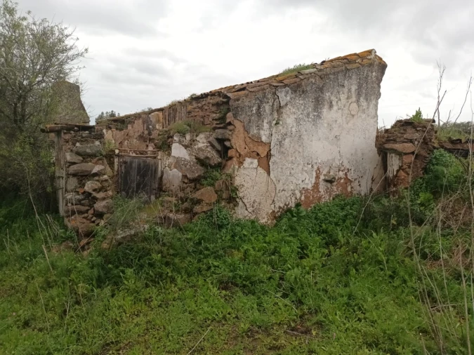 Terreno para Venda em Barbacena e Vila Fernando Foto 12