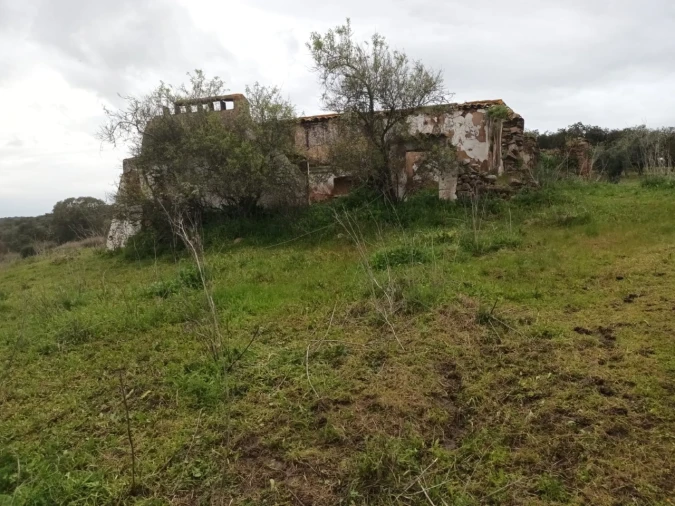 Terreno para Venda em Barbacena e Vila Fernando Foto 13