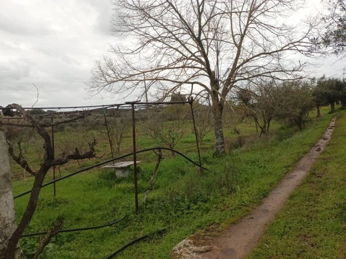 Terreno para Venda em Barbacena e Vila Fernando Foto 18