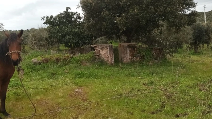 Terreno para Venda em Barbacena e Vila Fernando