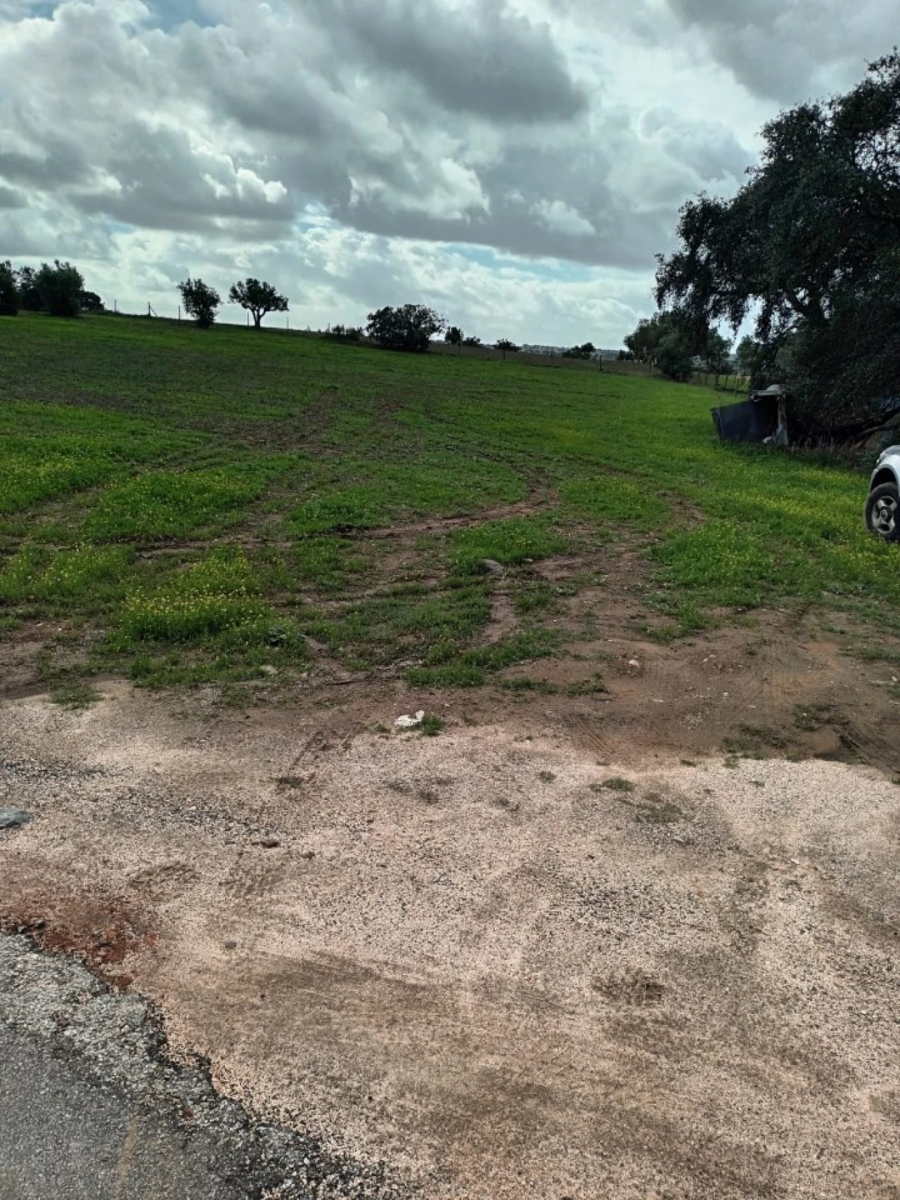 Terreno para Venda em Assunção Foto 3