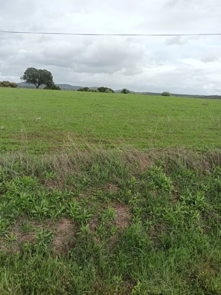 Terreno para Venda em Assunção