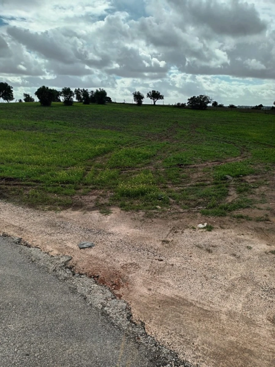 Terreno para Venda em Assunção Foto 2