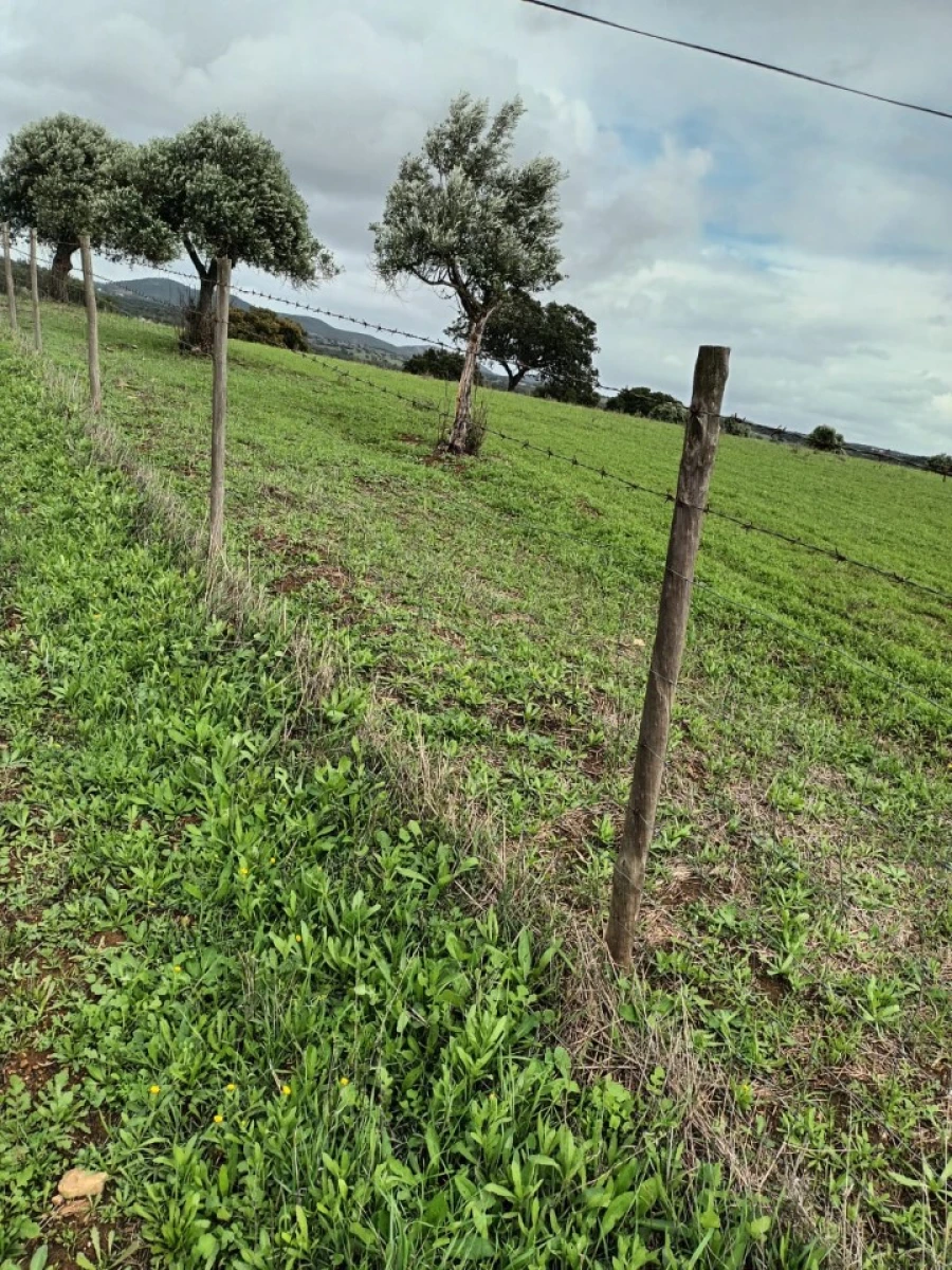 Terreno para Venda em Assunção Foto 7