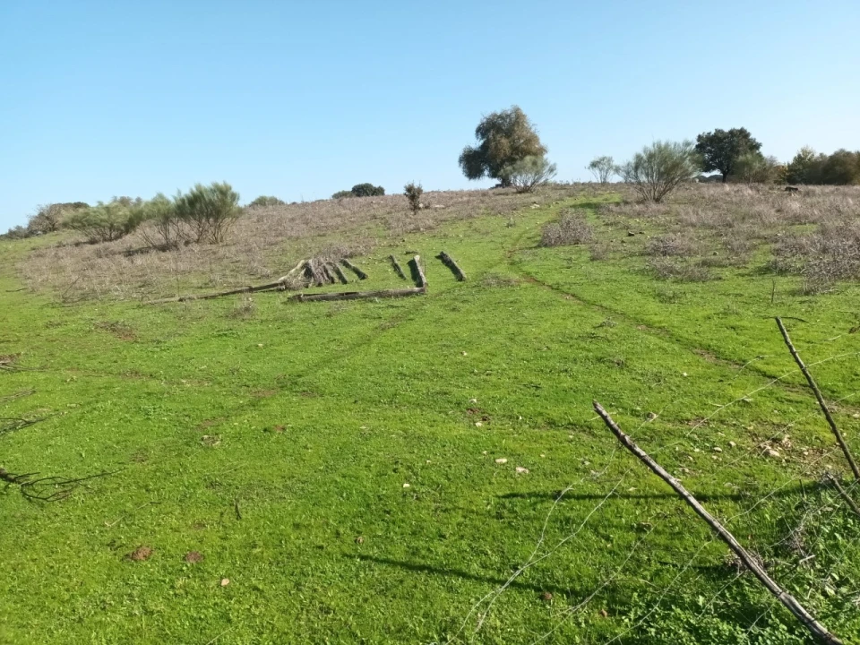 Terreno para Venda em Barbacena e Vila Fernando Foto 2