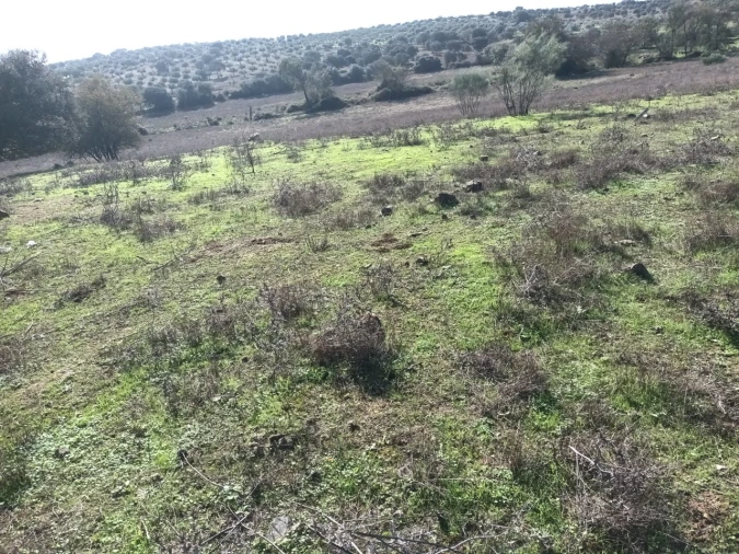 Terreno para Venda em Barbacena e Vila Fernando Foto 6