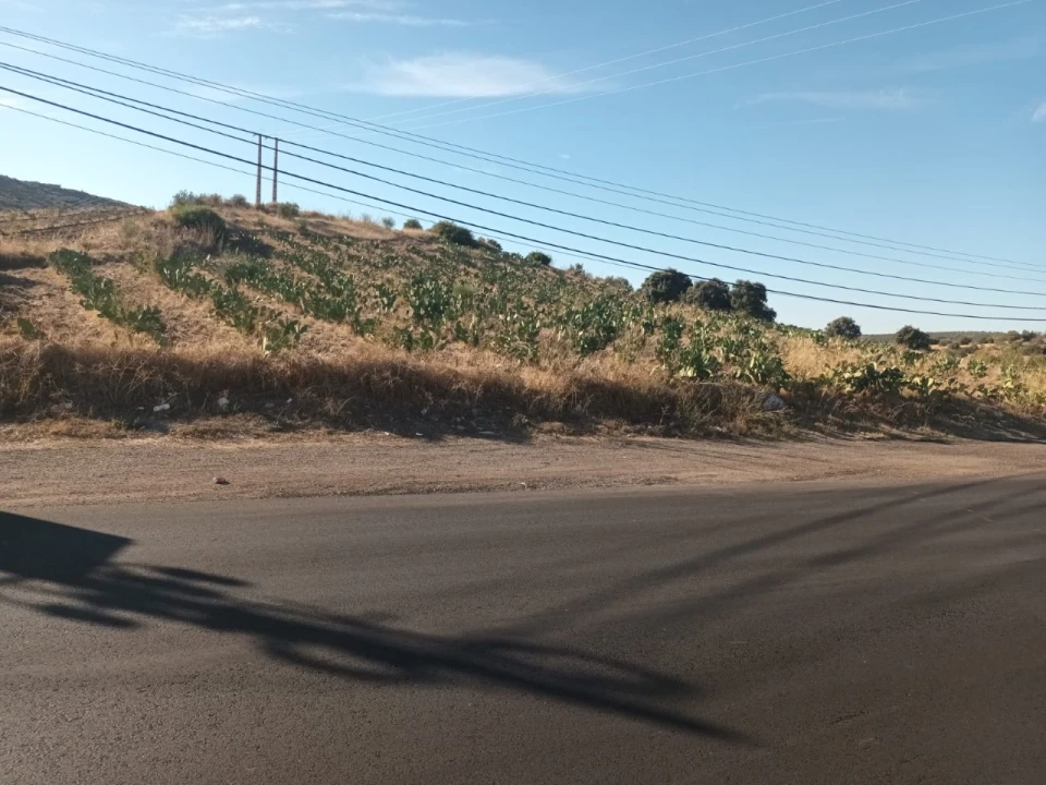 Terreno para Venda em Caia, São Pedro e Alcáçova Foto 12