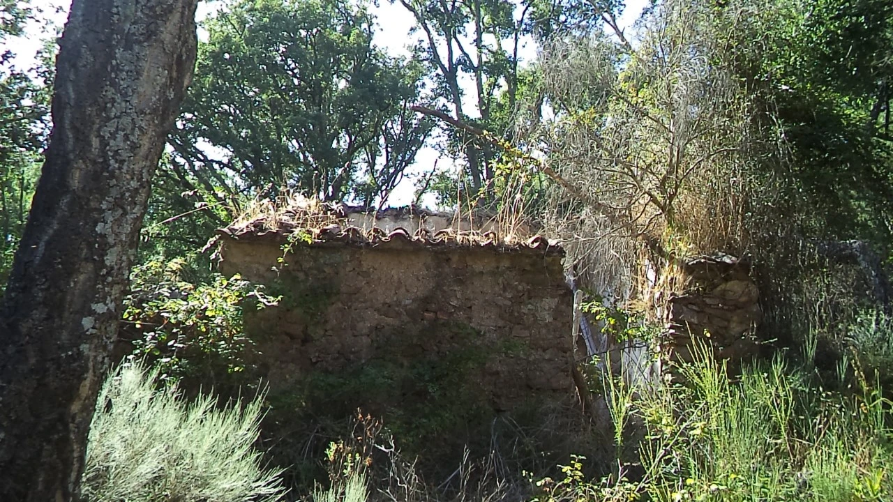 Terreno para Venda em São Salvador da Aramenha Foto 11