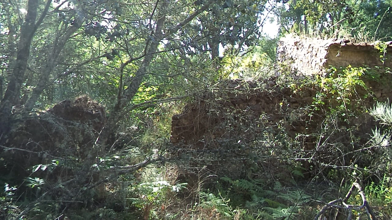 Terreno para Venda em São Salvador da Aramenha Foto 14