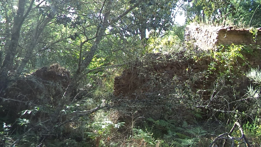 Terreno para Venda em São Salvador da Aramenha Foto 14