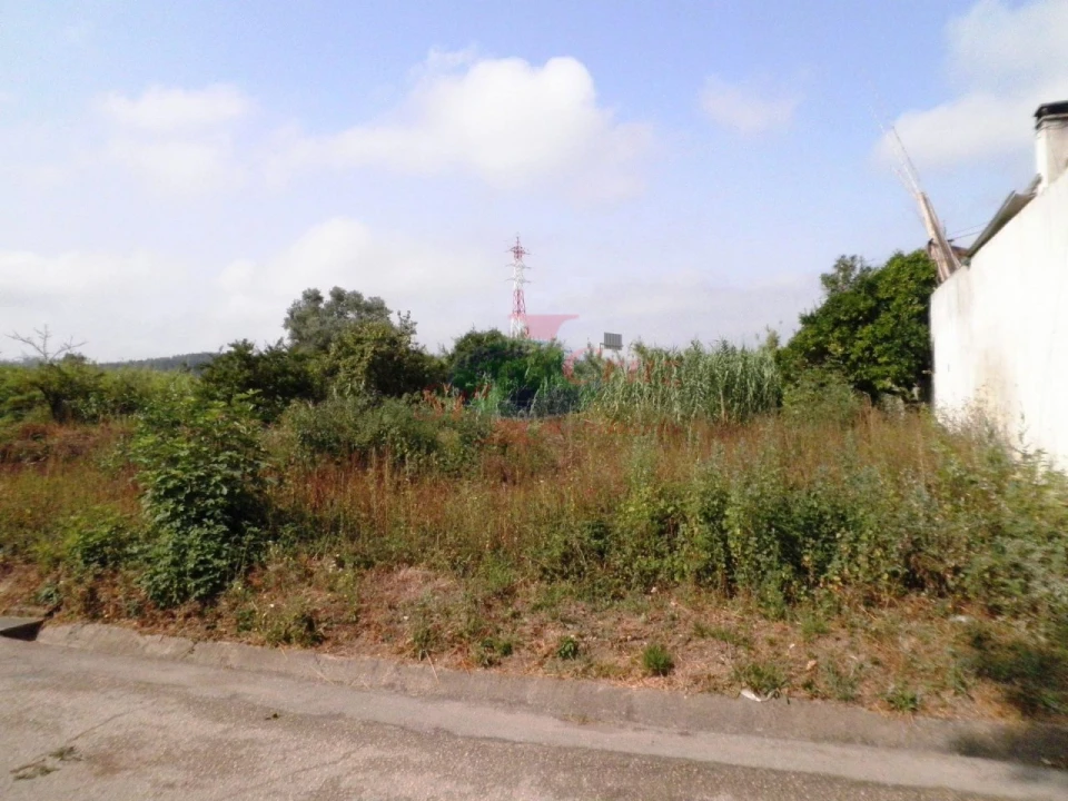 Terreno para Venda em São Martinho do Bispo e Ribeira de Frades Foto 2