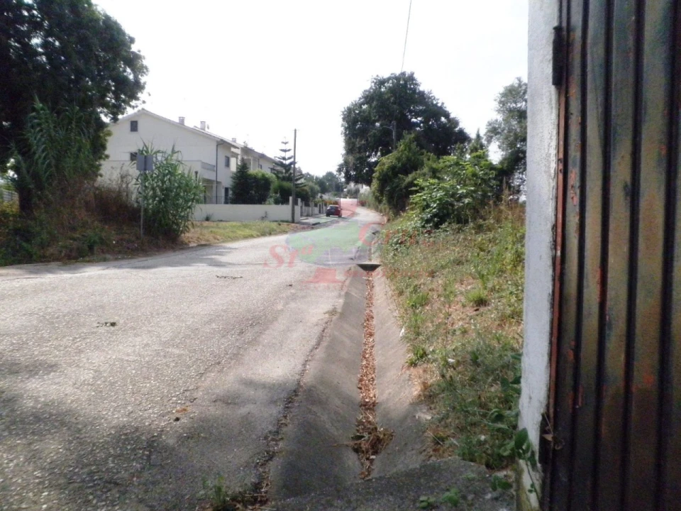 Terreno para Venda em São Martinho do Bispo e Ribeira de Frades Foto 3