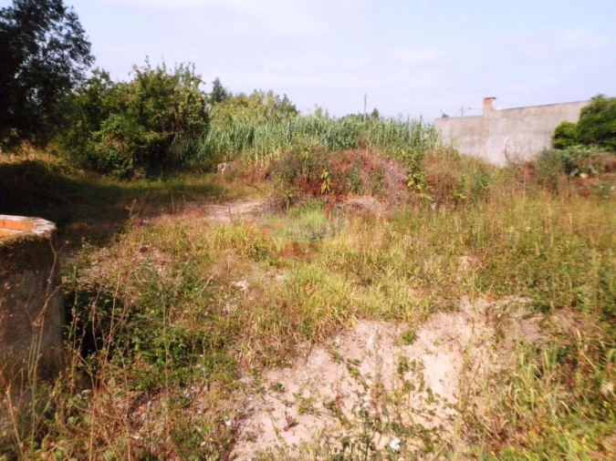 Terreno para Venda em São Martinho do Bispo e Ribeira de Frades Foto 1
