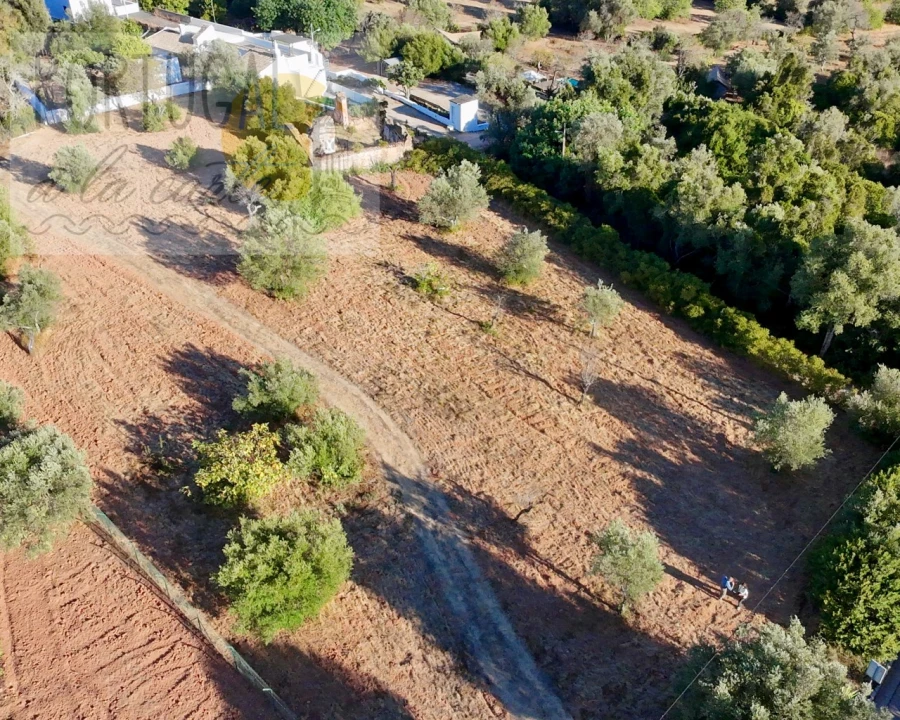 Terreno para Venda em Loule (São Clemente) Foto 16