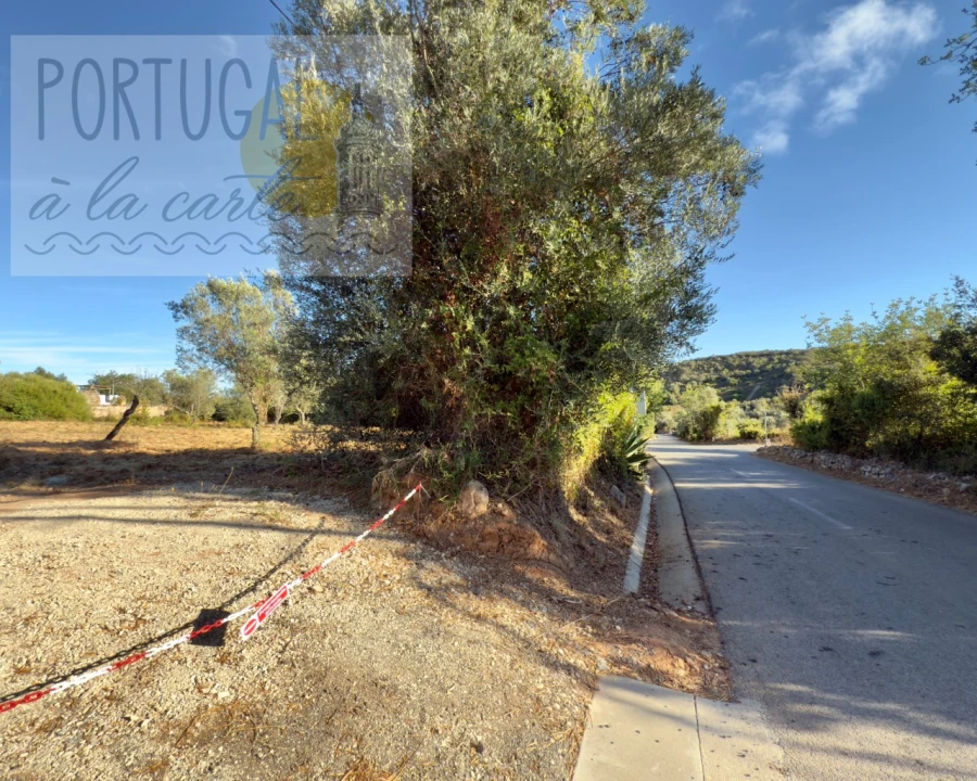 Terreno para Venda em Loule (São Clemente) Foto 13