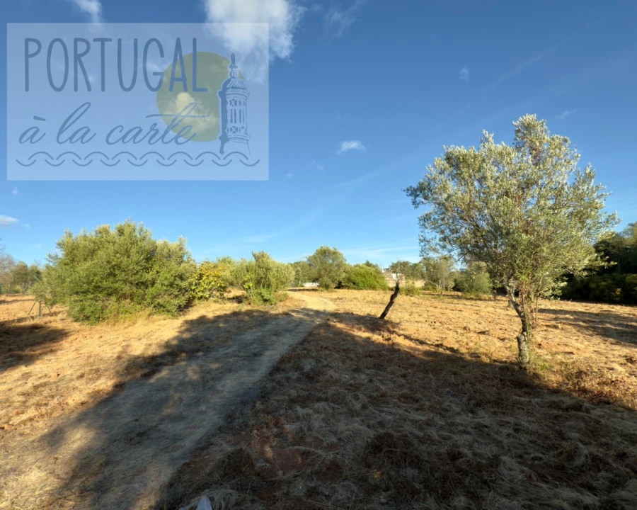 Terreno para Venda em Loule (São Clemente) Foto 4