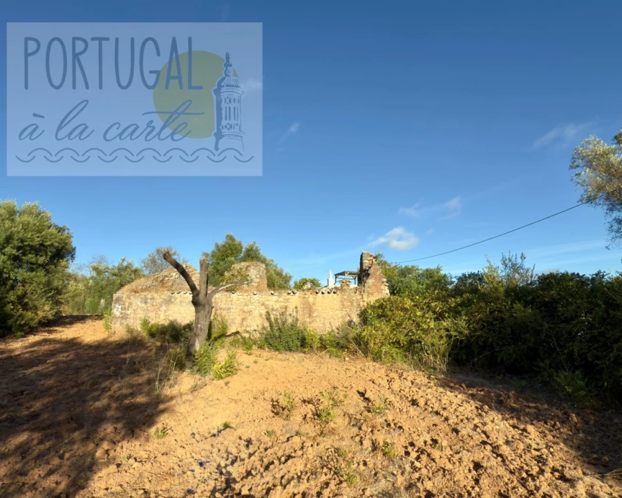 Terreno para Venda em Loule (São Clemente) Foto 6