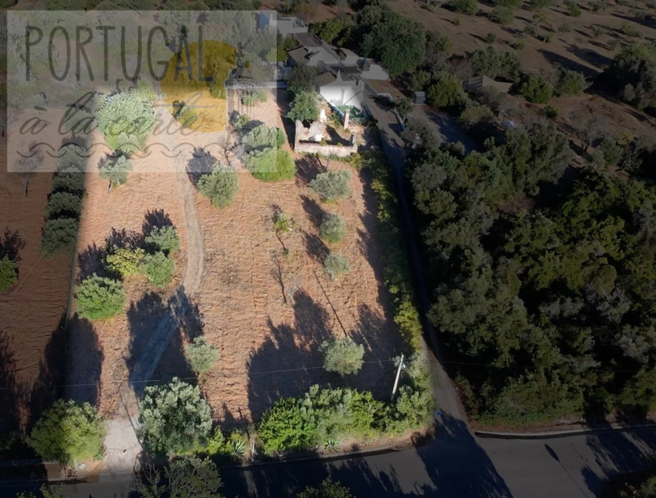 Terreno para Venda em Loule (São Clemente) Foto 15
