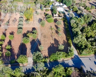 Terreno para Venda em Loule (São Clemente)