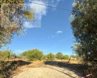 Terreno para Venda em Loule (São Clemente)