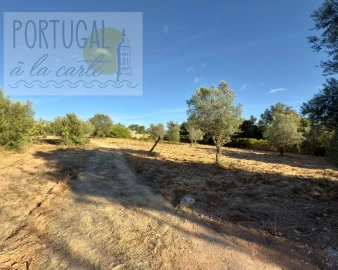Terreno para Venda em Loule (São Clemente)