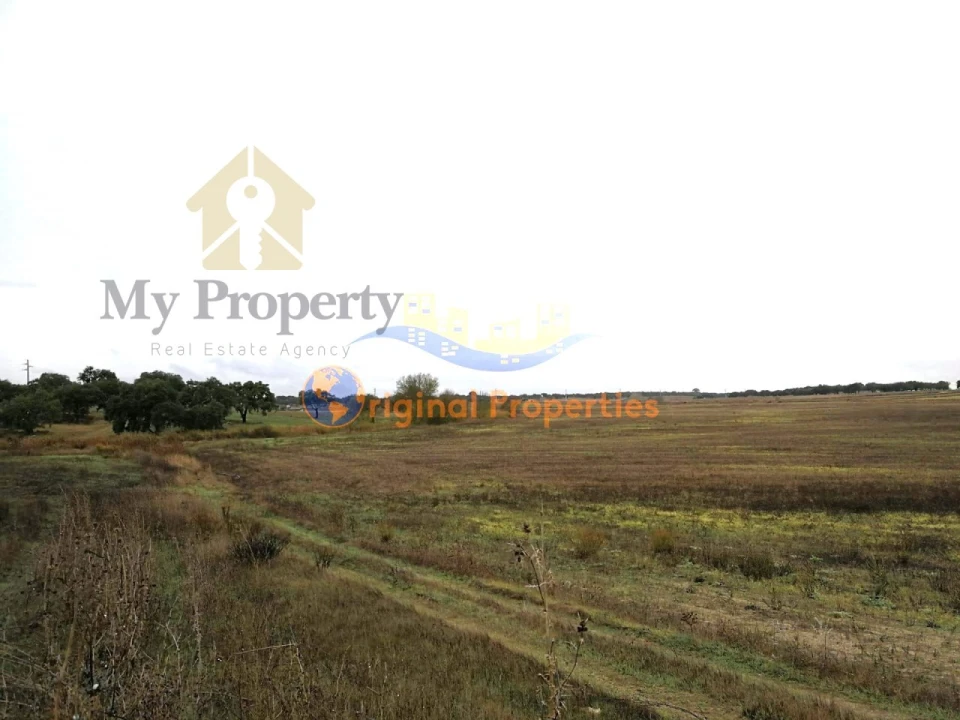 Terreno para Venda em Figueira dos Cavaleiros Foto 6