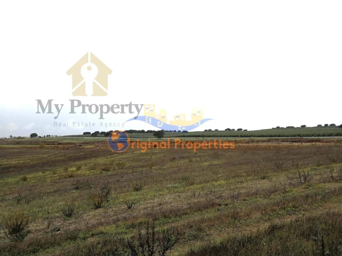 Terreno para Venda em Figueira dos Cavaleiros Foto 8