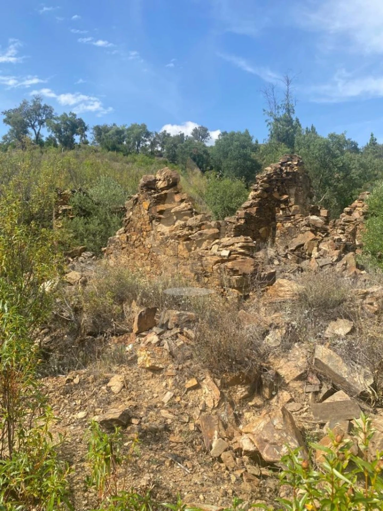 Terreno para Venda em Salir Foto 5