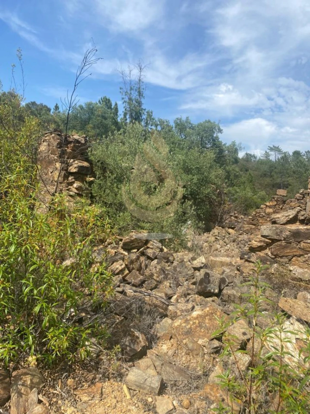 Terreno para Venda em Salir Foto 11